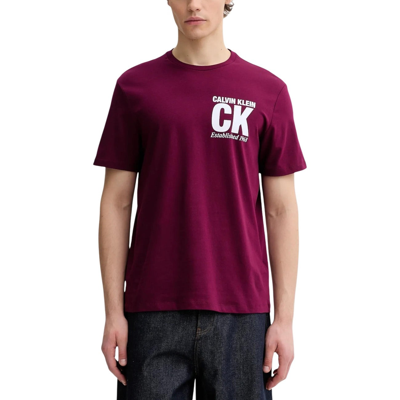 Calvin Klein - Calvin Klein T-Shirt Uomo